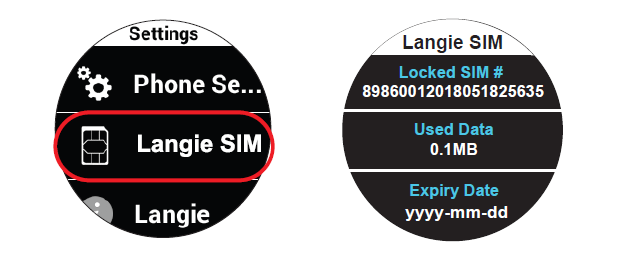 global country langie sim card 2 years